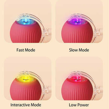Smart chase pet toy ball