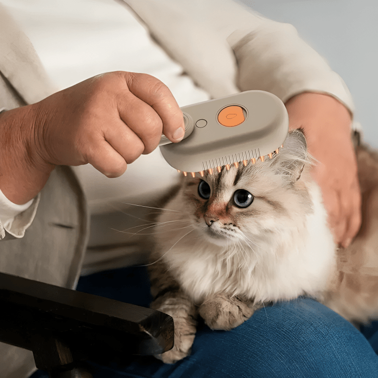 🐾 Less Loose Fur 💛 Gentler Grooming 😺 A Happier Cat