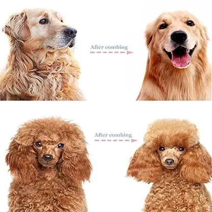 ✨[BOGO Deal]Dual-Sided Pet Deshedding Brush for Dogs & Cats🐶🐱