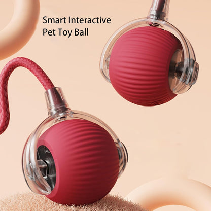 Smart chase pet toy ball